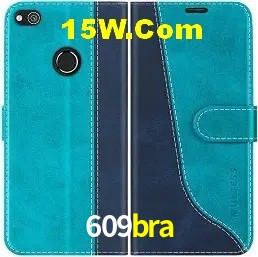 Experiência VIP 609bra