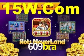 609bra App Interface